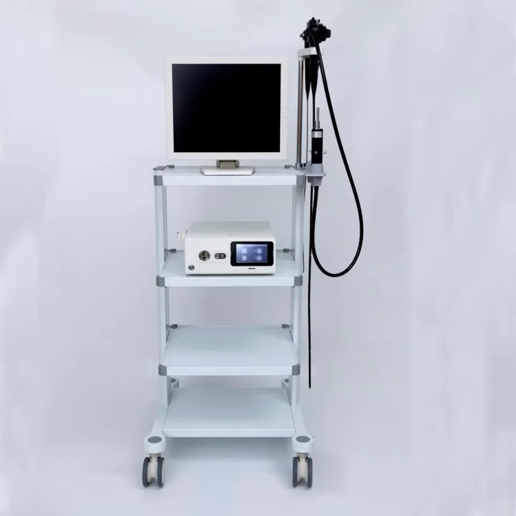Electronic endoscope system